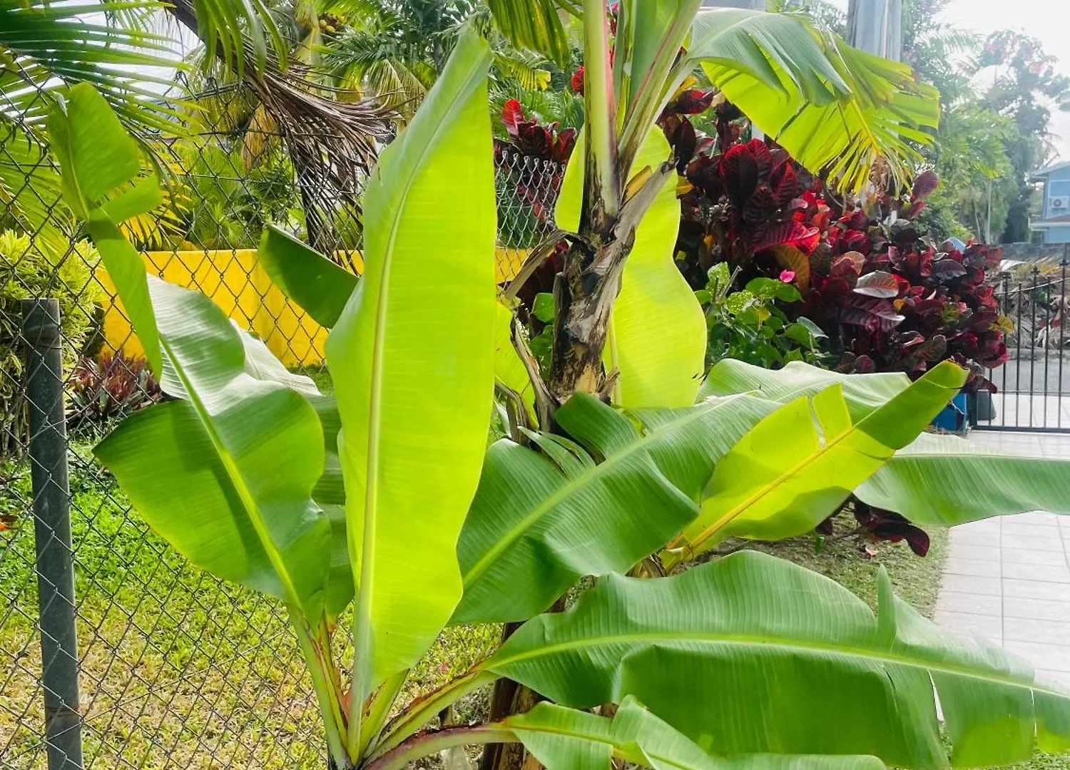 Villa Hanna Bon Accord Village Trinidad And Tobago