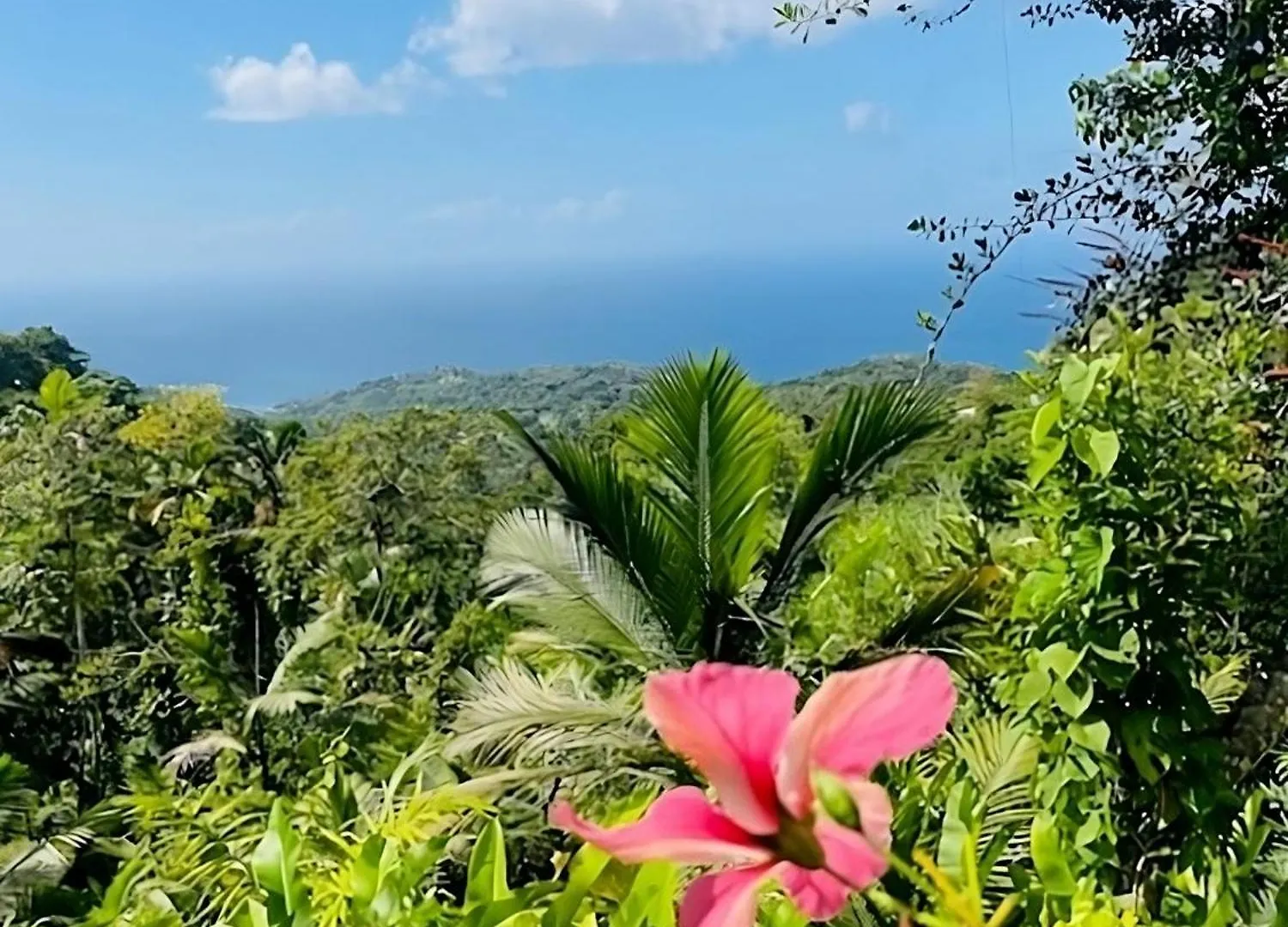Villa Hanna Bon Accord Village Trinidad And Tobago
